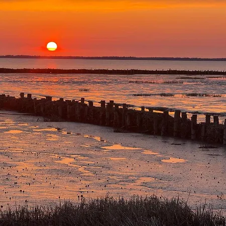 Luxury With Pool - By Traum * Kongsmark