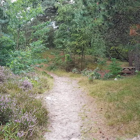 Сasa de vacaciones Luxury With Pool - By Traum *