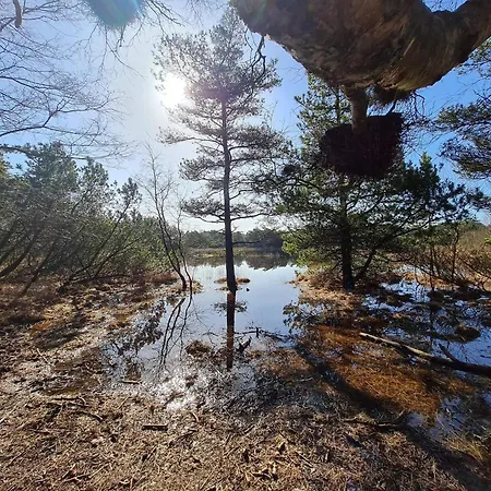 Luxury With Pool - By Traum Prázdninový dům