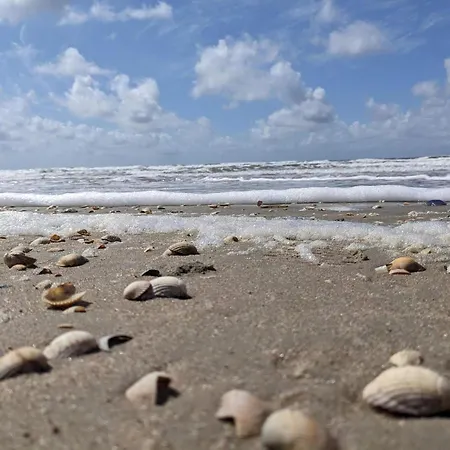 Luxury With Pool - By Traum Kongsmark