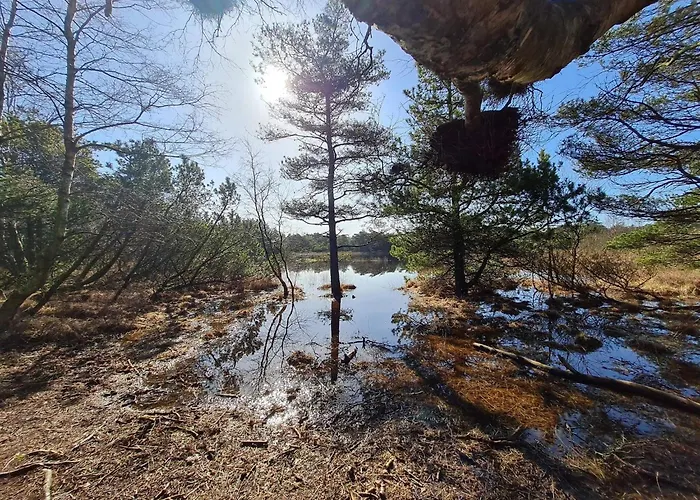 Luxury With Pool - By Traum Nyaraló