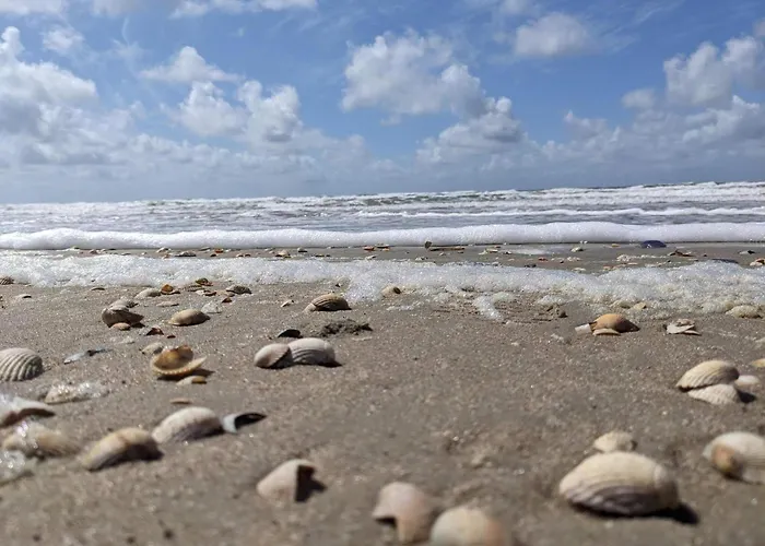 Luxury With Pool - By Traum Kongsmark