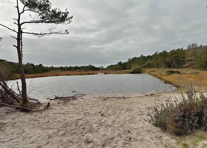 Luxury With Pool - By Traum Nyaraló Kongsmark