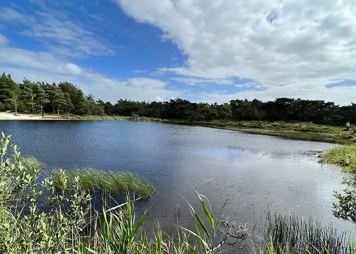 Nyaraló Luxury With Pool - By Traum Kongsmark