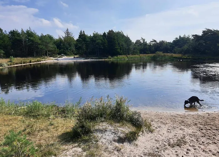 Luxury With Pool - By Traum Nyaraló Kongsmark